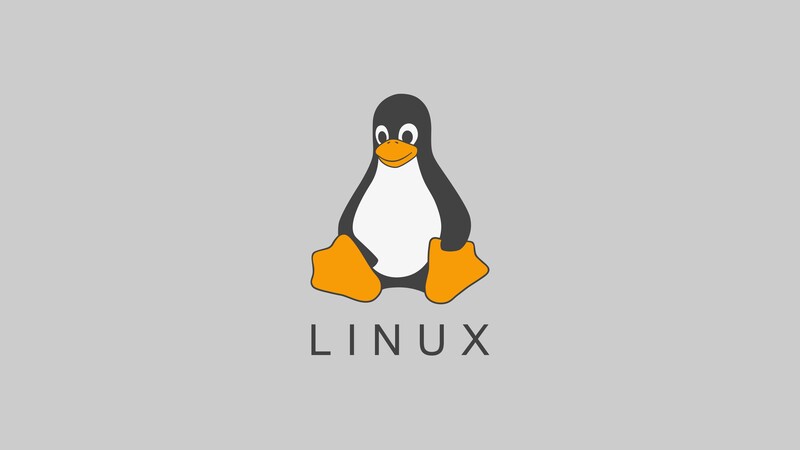 ./ — dealing with a leading minus in filenames under Linux shell  - GNU/Linux