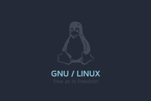 De ce GNU/Linux nu este adoptat masiv in lume? - GNU/Linux
