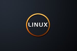 How did you discover Linux? - GNU/Linux