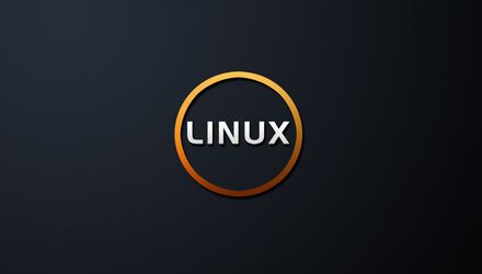 The structure of the file system on Linux - GNU/Linux