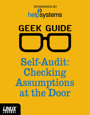 Self-Audit: Checking Assumptions at the Door