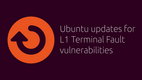 Actualizare Ubuntu pentru vulnerabilitatea - L1 Terminal GNU/Linux