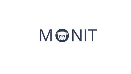 Monit : Configurare & Install - GNU/Linux