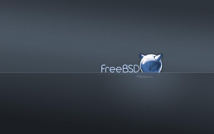 FreeBSD 11.4 - package updates and fixes