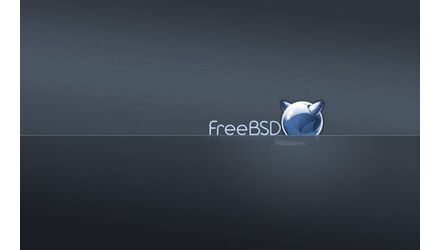 FreeBSD 12.3 - incremental updates - GNU/Linux