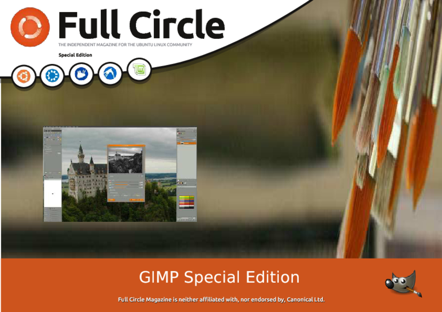 Using GIMP Special Edition