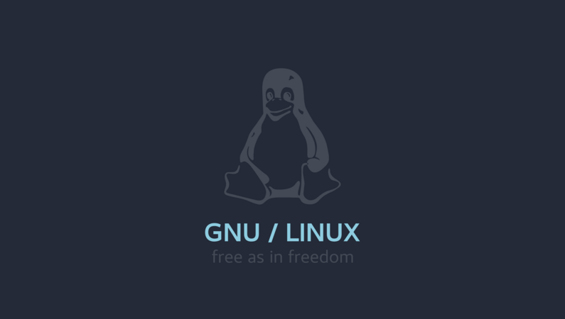 Why is GNU / Linux not massively adopted in the world?