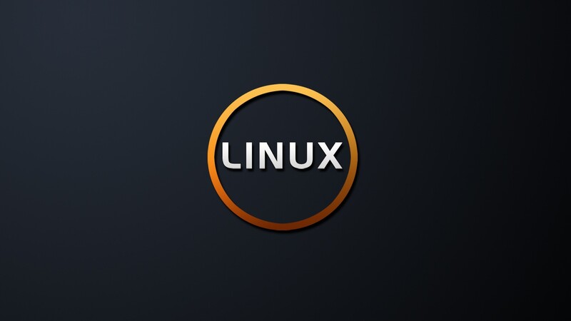 The structure of the file system on Linux