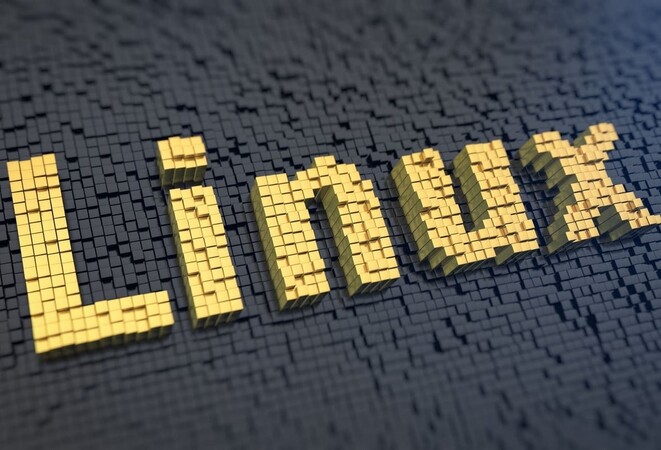 Is Linux a mass market product?