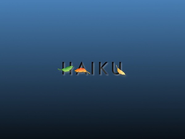 The Haiku project has decided to postpone the launch of R1 / Beta3 for a week.