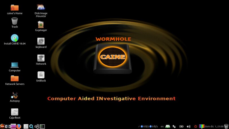 CAINE 11.0 Wormhole 64bit